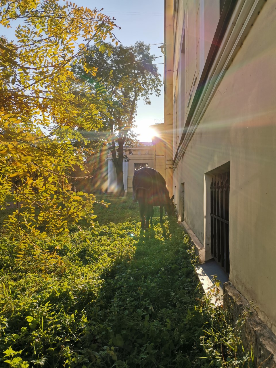 Thumbnail IMG 20191005 163031