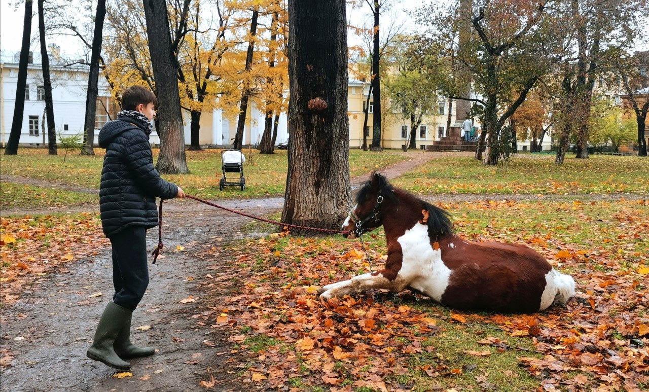 thumbnail IMG 20201023 142140